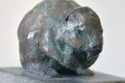 juul-van-meel-uit-made-ontvangt-een-bronzen-bever-voor-zijn-jarenlange-inzet-als-vrijwilliger