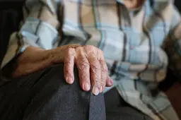 beejees-hands-1408480_1920
