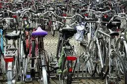 bru-no-parking-spot-1730845_1920