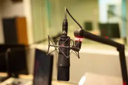 andrzejrembowski-microphone-4320921_1920