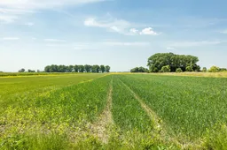 luchtmeetnet prov flevoland