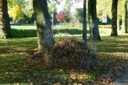 bladkorfwebsite