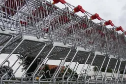 shopping cart 53792 1280 e1432419951165 715x408