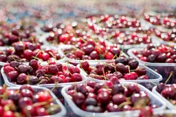 cherries 1433525 1280