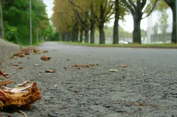 asfalt-herfst-715x405