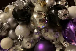 kerstuiting 2@wiltbloei 2