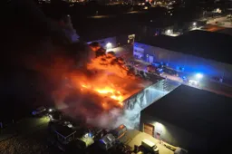 a2fa0e17-6c29-404a-ae4d-b8bd99706a10-1-Groot