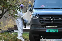 DSC_2440