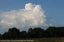 weerfoto