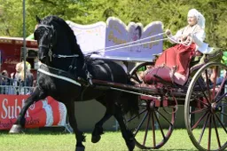Concours Hippique Bennekom