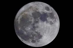 vollemaan 2