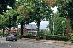 csm_PB_059_Vernieling_bomen_Wekerom_b6d7788f72