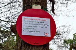 Kerstballenspeurtocht - nc de ginkel