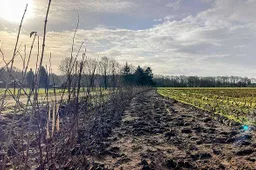 csm_PB015_-_Natuurcompensatie_2_f5f22f3e39