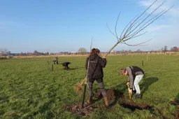 Fruitbomen planten_Carola van Ruiswijk2