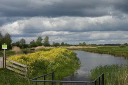 binnenveld nc veluwe 02 - foto harm roseboom sr