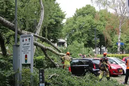 Zware boomtak valt op auto's op de Halte in Ede © Chris Ede.nieuws.nl