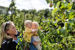 240908 5930 Appelplukdagen