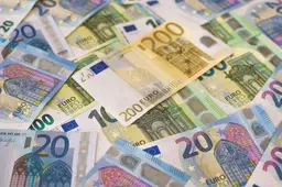 pexels ibrahimboran 8080823