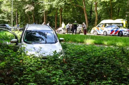 emmen