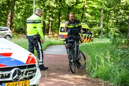 ongevalemmen