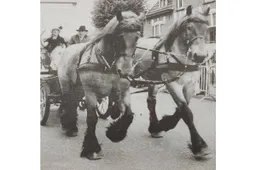 50EN OudeDoosRingrijderij