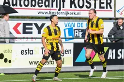 41EN DVSP1