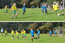 41EN EFCSVB1