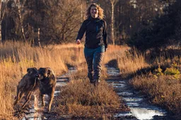 dogtrainingblog