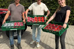 VLNR_ Bart, Thibaud en Hanneke