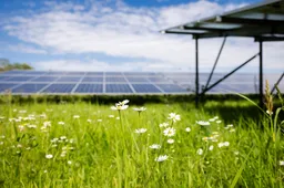 zonnepark bollendonk