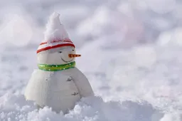 snowman-3008179_1280 (1)