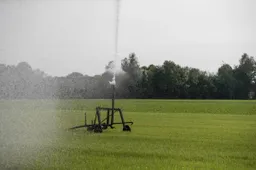 grondwatergebruik sproeien