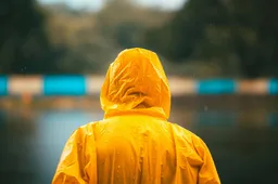 pexels-thekameragrapher-33231026
