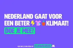 Beeld 2