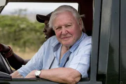 Een Instagramrecord pakken op je 94e: David Attenborough doet het