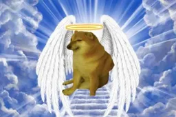 De mooiste memes van de overleden internethond Cheems op een rijtje