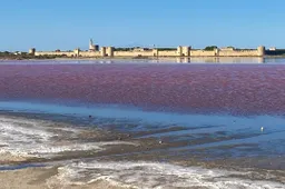 De betoverende roze meren in Frankrijk zijn een must-visit deze zomer