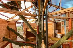 Airbnb’s most special: vette boomhut in de Achterhoek