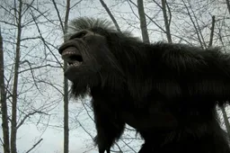Complot or Not: Bestaat de legende Bigfoot?