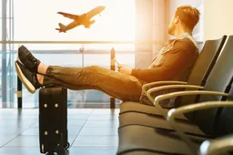 Deze app plant een boom voor iedere vakantie die jij boekt