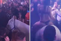 Vrouw rijdt met paard een nachtclub in Miami binnen en zet de boel op stelten
