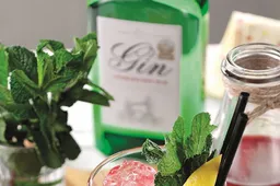 Aldi komt met spotgoedkope gins