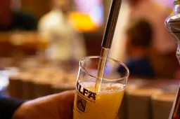 Waarom wordt de een sneller dronken dan de ander?