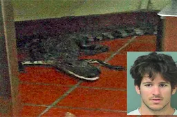 Amerikaan gooit levende alligator door het drive-through raam van fastfood restaurant