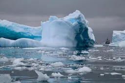 Onderzoekers vinden sporen van 90 miljoen jaar oud regenwoud op Antarctica
