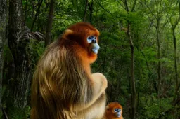 Nederlander harkt eerste prijs binnen voor allerbeste natuurfoto van 2018