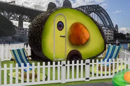 Je kan overnachten in een avocado in Australië