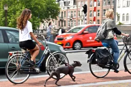 Jongeren hebben de Tomos definitief ingewisseld voor de e-bike