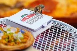 Er zijn nu mini pizza's voor bijen: de beezas